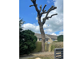 01793 Tree Surgeons Ltd