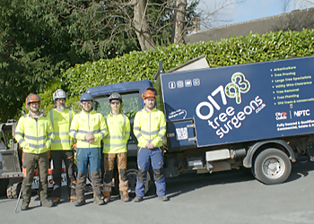 01793 Tree Surgeons Ltd