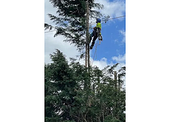 01793 Tree Surgeons Ltd