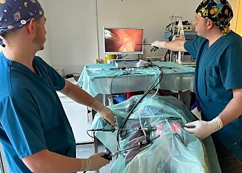 387 Veterinary Centre Great Wyrley