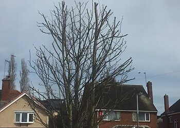 A1 Tree Services & Landscapes