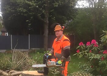 Walsall tree services A1 Tree Services & Landscapes image 1