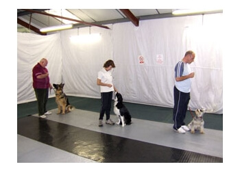 ABC Dog Training ABC Dog Training