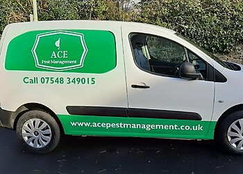 Exeter pest control  ACE Pest Management image 1