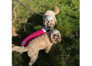 A Dog’s Best Friend Ltd