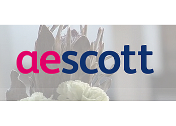 A E Scott & Co Limited