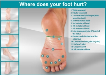 3 Best Podiatrist Clinics in Kingston Upon Hull, UK - Expert ...