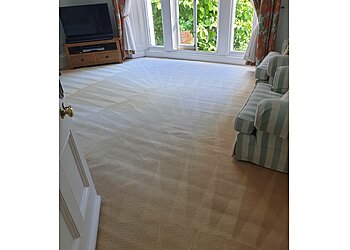 AGS Carpet & Upholstery Cleaning