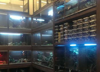 A.J. Exotics & Pet Supplies