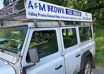 A & M Brown Tree Surgeons
