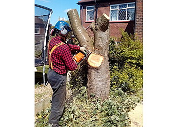 A & M Brown Tree Surgeons