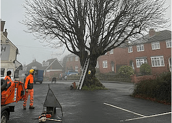 A R B Tree Services