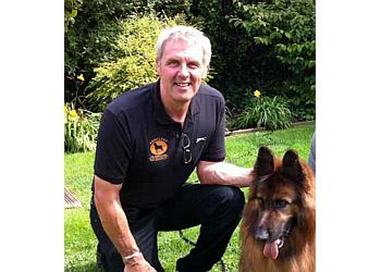 dog boot camp prices uk dog boot camp prices uk