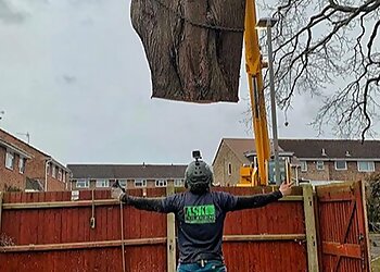 ASK Tree Surgeons