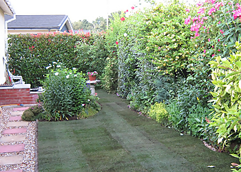 A Steven City Garden Service