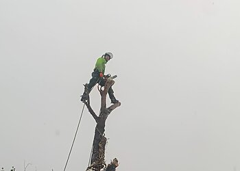 AWE tree and garden services