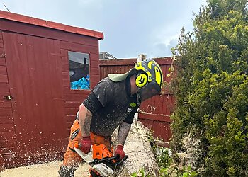 AWE tree and garden services