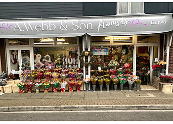 A Webb & Son