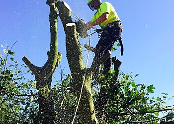 AXCESS Tree Services