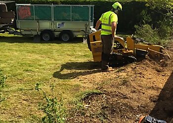 AXCESS Tree Services