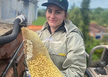 AZK Pest Control Ltd