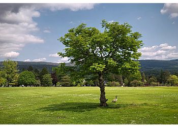 Aberdare Park