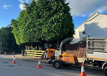 Aberdeen Area Tree Surgeons