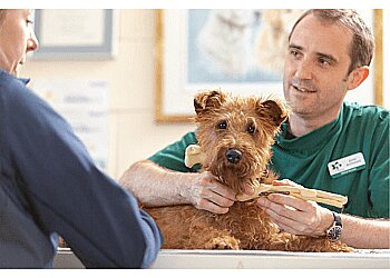 Abington Park Veterinary Group