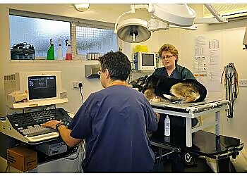 Abington Park Veterinary Group