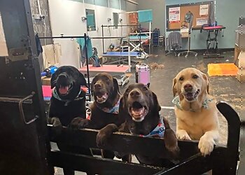 Able Groomer School and Salon Ltd