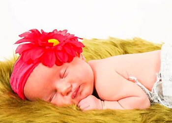 Absolute Choice Photography