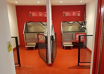 Absolute Dogs Paisley