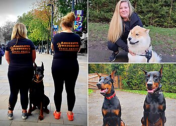 Absolute Obedience Ltd.