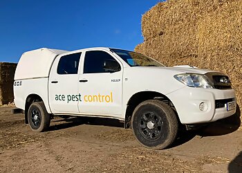 Norwich pest control Ace Pest Control image 1