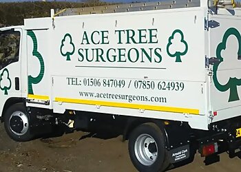 Ace Tree Surgeons