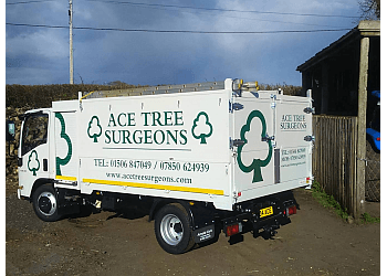 Ace Tree Surgeons