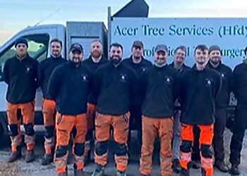Acer Tree Services Ltd