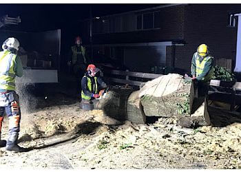 Acorn Tree Specialist Ltd.