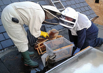 Adept Pest Consultancy Ltd