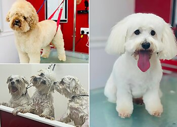 Adore-a-Dog Grooming Spa Ltd