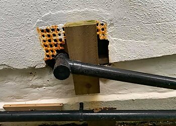 Advance Pest Control Sussex