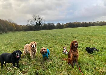 Adventure Walkies Bolton