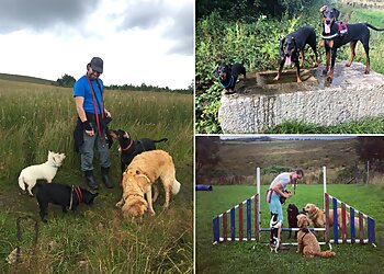 Adventure Walkies Bolton