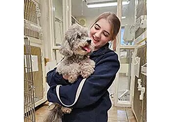 Alcombe Veterinary Surgery