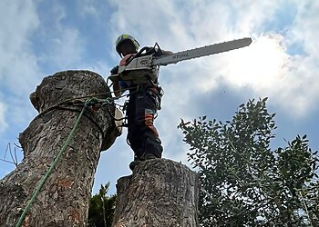 Alderwood Tree Care Ltd