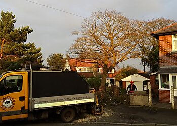 Manchester tree services Alderwood Tree Care Ltd image 1