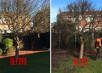 Alexander Carson Tree & Garden Services