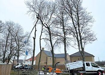 Alexander Hubbard Ltd.