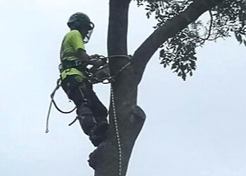 Alexander Hubbard Ltd.