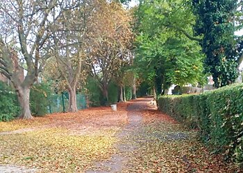 Alfred Rose Memorial Park